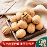 新疆特产薄皮核桃大量批发代发500g 阿克苏核桃坚果手捏生核桃