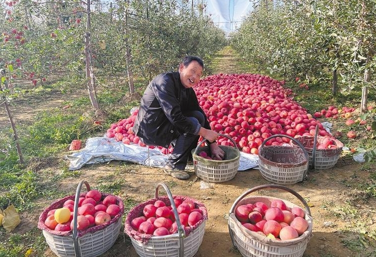 微信截图_20231102113045