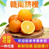 丰泉鲜果 正宗新鲜赣南脐橙赣州正宗产地直发特级10斤装