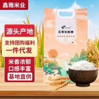 批发东北五常大米长粒香颗粒饱满米五斤十斤真空粥米大米现磨现发