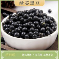 低温烘焙五谷杂粗粮现磨房打磨粉代餐东北小炒青仁心绿芯熟黑豆