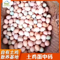 安徽土鸡蛋中码1斤11个左右整箱420枚批发 农家草鸡蛋笨鸡蛋