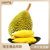 【厂货通】顺丰空运马来西亚猫山王榴莲D197树上熟液氮冰冻榴莲