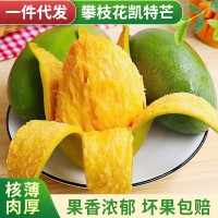 批发应季新鲜水果四川攀枝花凯特芒果热带香甜水果整箱礼盒装芒果