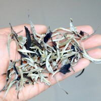 云南高山白茶2021年头春月光白250克茶叶头采非福鼎白牡丹散装茶