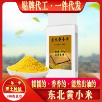 东北黑土种植黄小米500克1斤5斤农家小黄米五谷杂粮米粥厂家批发