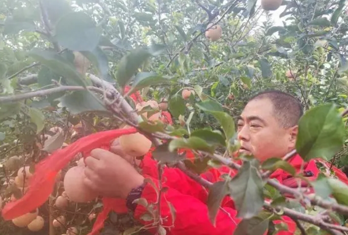 微信截图_20231116115416