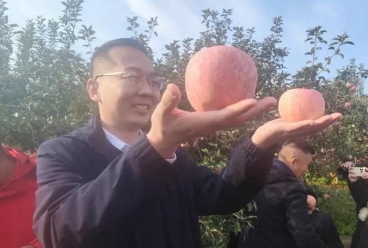 微信截图_20231116115431