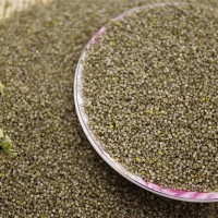 北方特产黑小米微黑小米　煮黑小米粥 500g