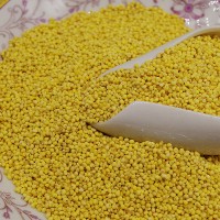 农家特产糯小米大黄米粘小米能熬出米油500g 量大优惠