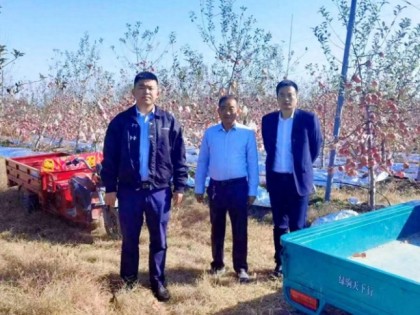 农行白水县支行着力提升金融服务质效助推苹果特色产业强县富民