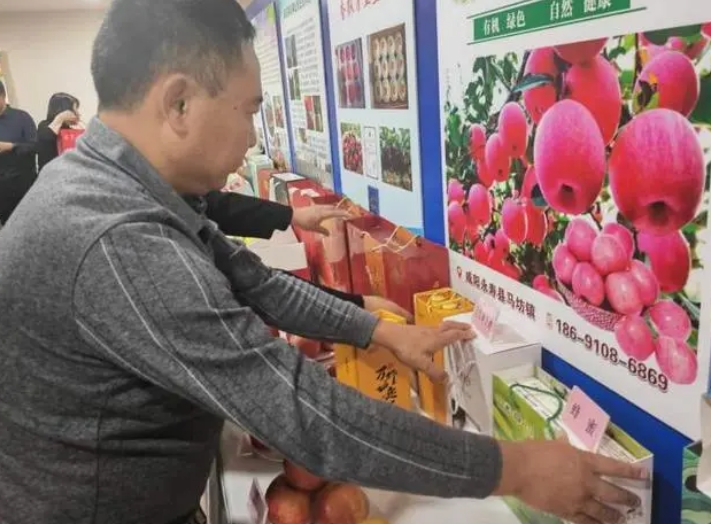 微信截图_20231123145411
